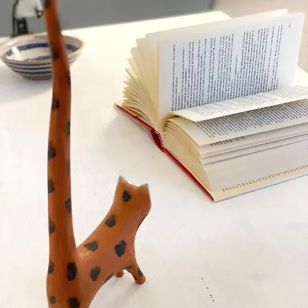 Comfortable Sea Holidays And Walks *