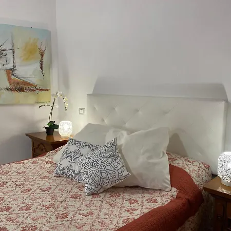 公寓 Comfortable Sea Holidays And Walks *