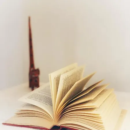 Comfortable Sea Holidays And Walks