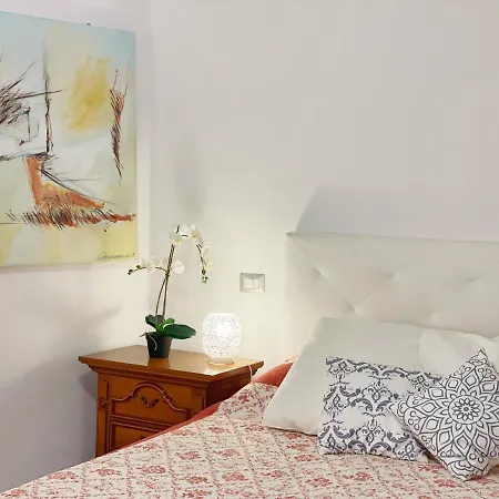 Comfortable Sea Holidays And Walks