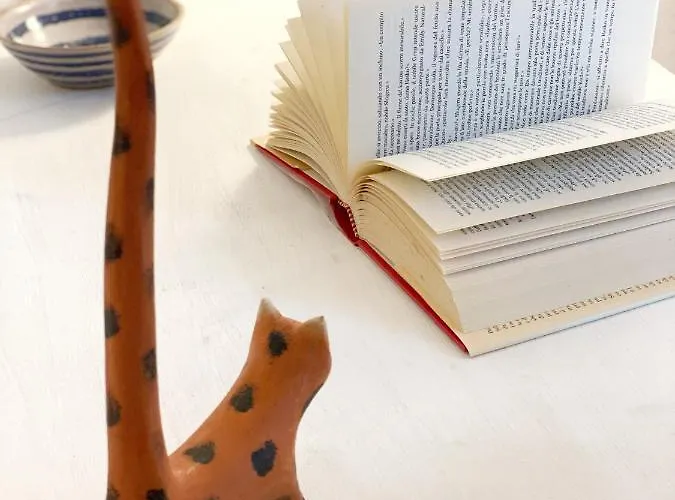 Comfortable Sea Holidays And Walks *